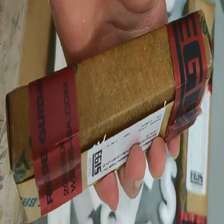 供应瑞士EGIS SA滑块M4020x150-T15(L1=35+LA=80+L2=35)-Q10-US