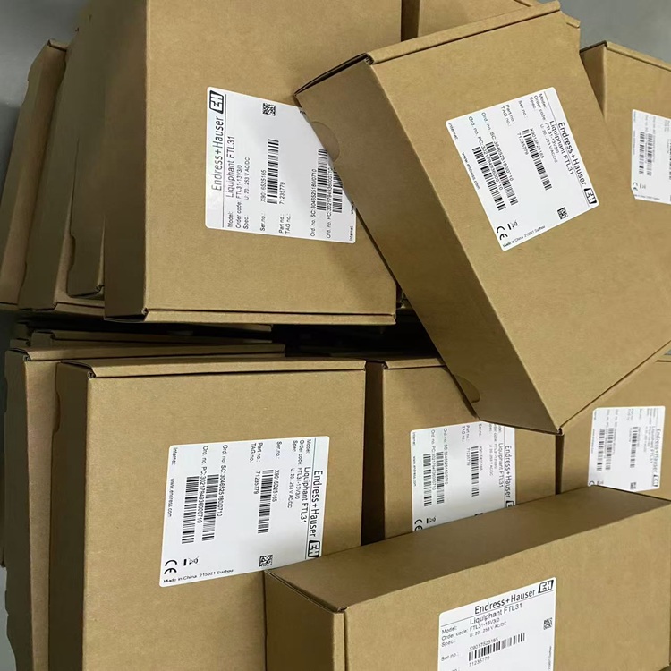 E+H恩德斯豪斯音叉液位开关FTL31系列FTL31-AA1U2AAWCJ